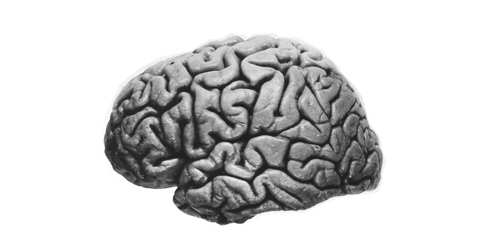 How Emotions Make Decisions – Part 1